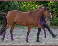 2-13JUIN 0739